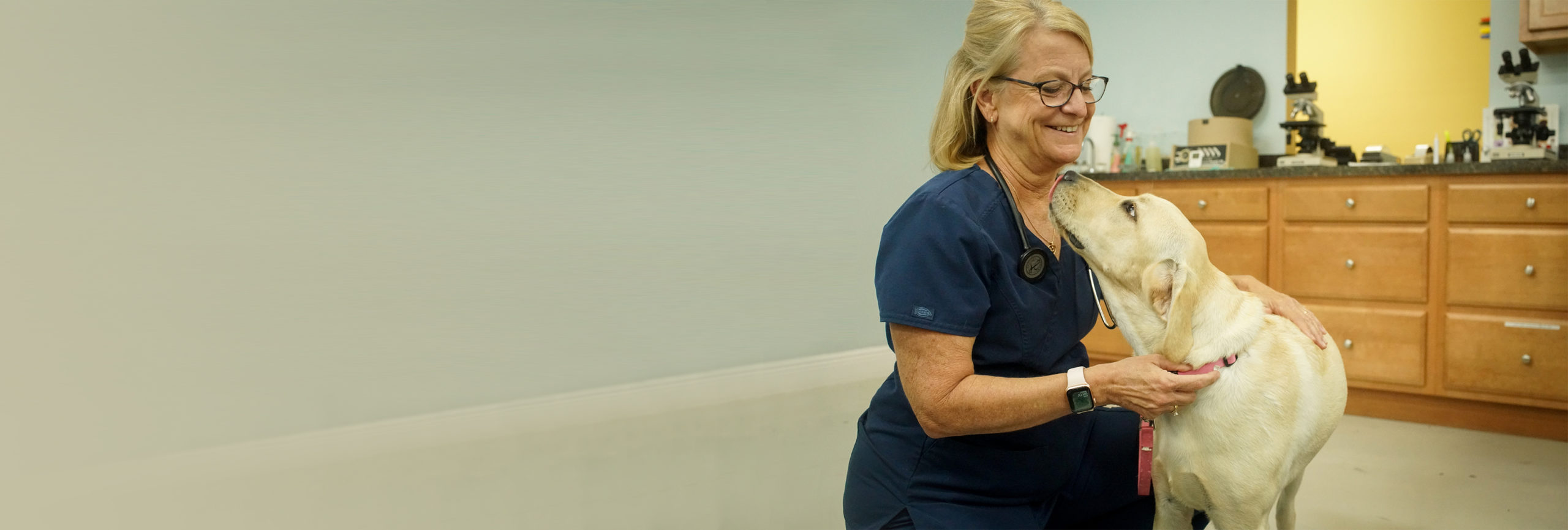 Our Reviews Spring Hill Animal Clinic Spring Hill, FL