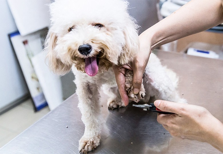 Baths and Nail Trims