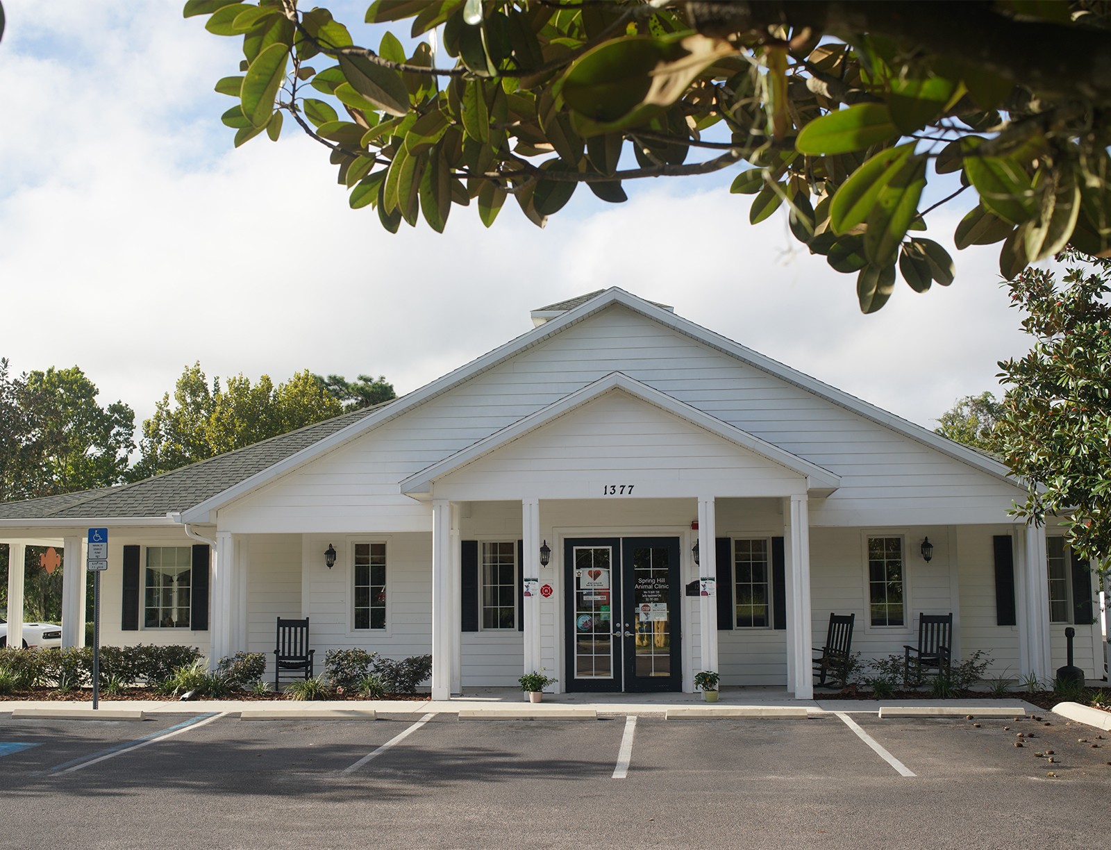 Pet Doctors in Spring Hill, FL | Spring Hill Animal Clinic of Spring Hill